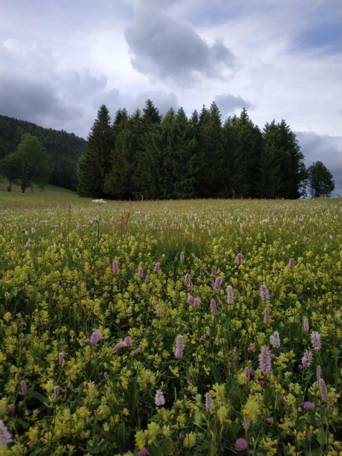 Apartamento Les Chamois Lajoux Exterior foto